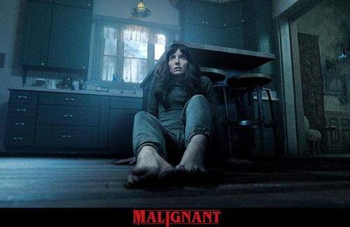 山狗无删减在线观看,无删减版，揭秘原始野性的真实面纱  第2张