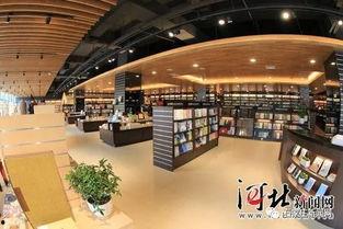 石家庄书店爆料事件视频,真相与争议的交织