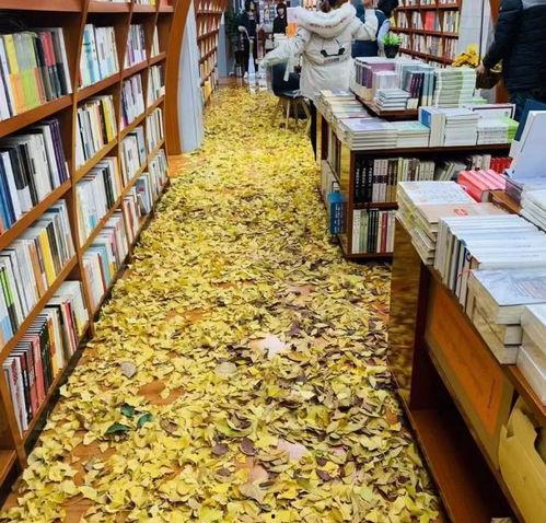 石家庄书店爆料事件视频,真相与争议的交织 第3张 石家庄书店爆料事件视频,真相与争议的交织 第3张