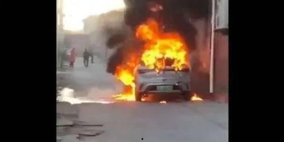 爆料海豚自燃视频大全播放,海豚自燃视频大全引发热议  第2张