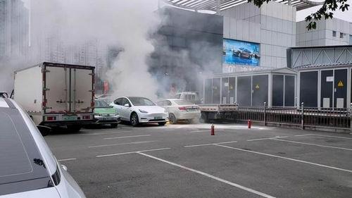 爆料海豚自燃视频大全播放,海豚自燃视频大全引发热议  第3张