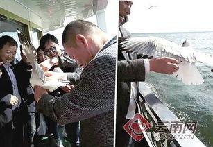 大理记者爆料新闻最新,揭秘当地最新热点事件  第2张