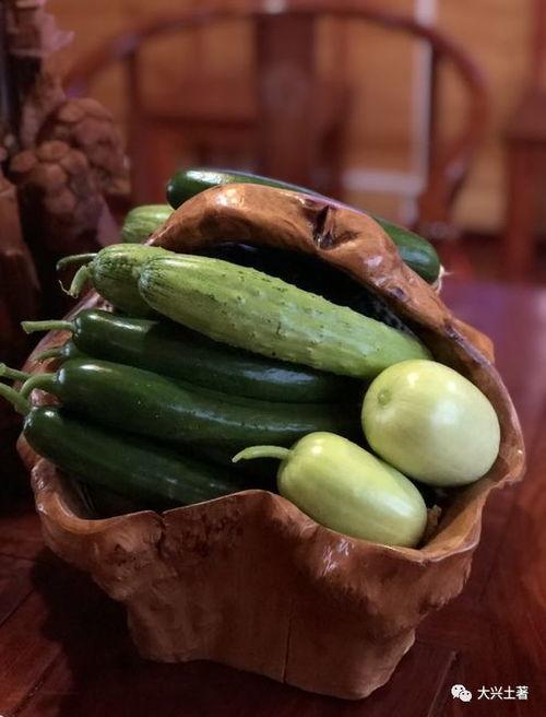 那曲网红吃瓜,揭秘背后真相与网络舆论风暴  第2张